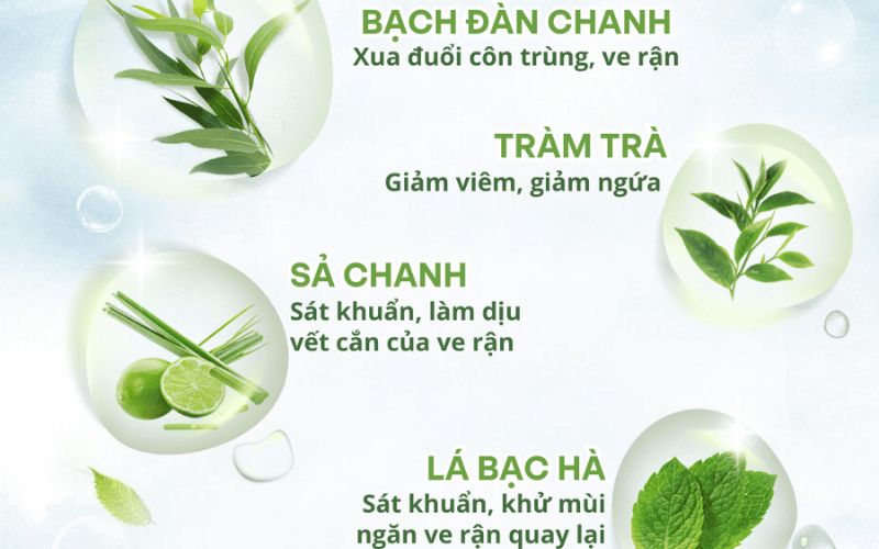 sua-tam-tri-nam-cho-cho-1