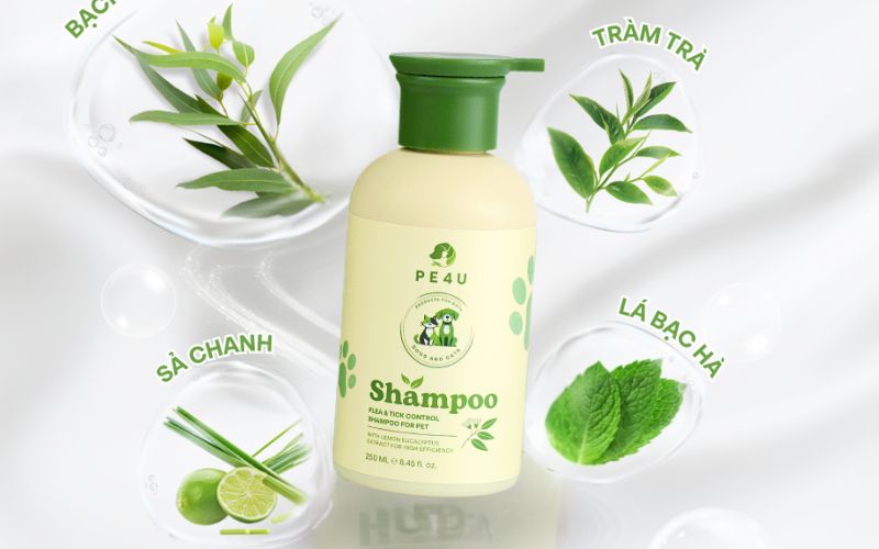 sua-tam-tri-nam-cho-cho-