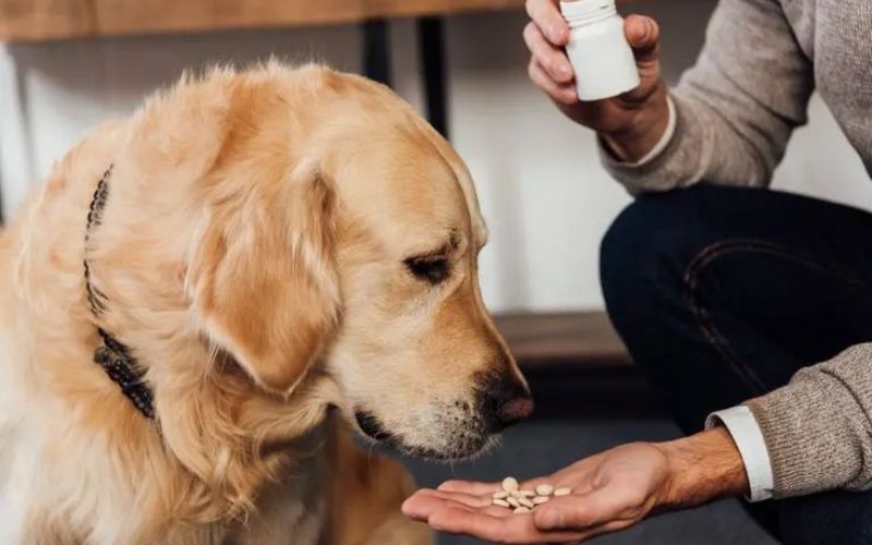 thuoc-tri-rung-long-cho