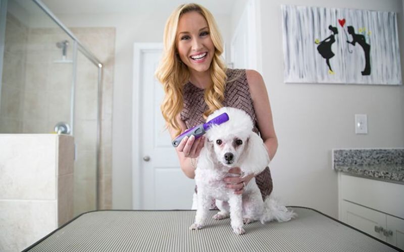 cach-lam-muot-long-cho-poodle-